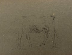 British Chalk Pencil Sketch of a Large Cow's Faceless Body