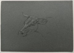 British Chalk Pencil Sketch of a Portrait of a Cow's Face