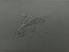 British Chalk Pencil Sketch of a Portrait of a Cow's Face
