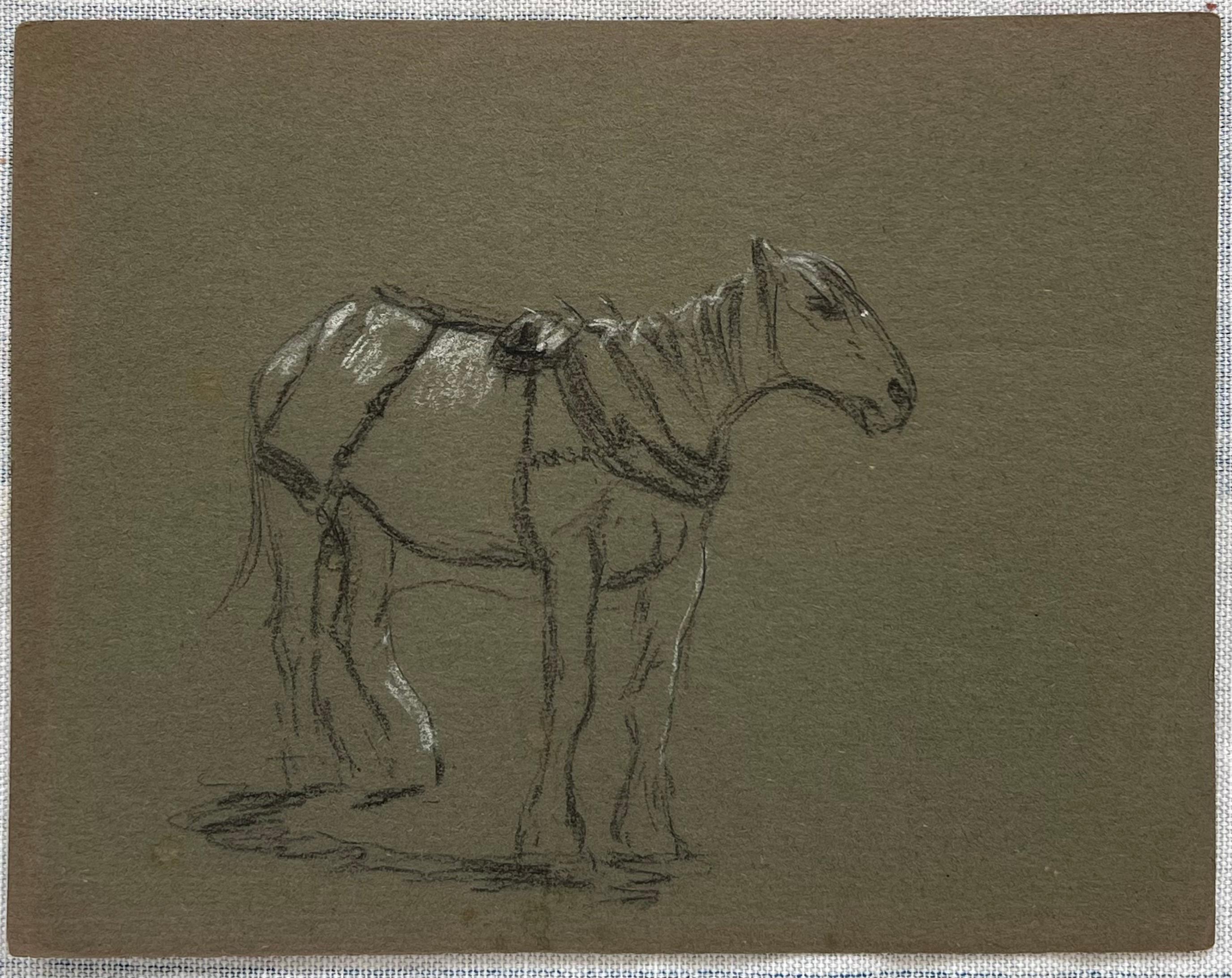Esquisse au crayon de couleur d'un cheval sellé prêt à monter - Painting de John Rabone Harvey