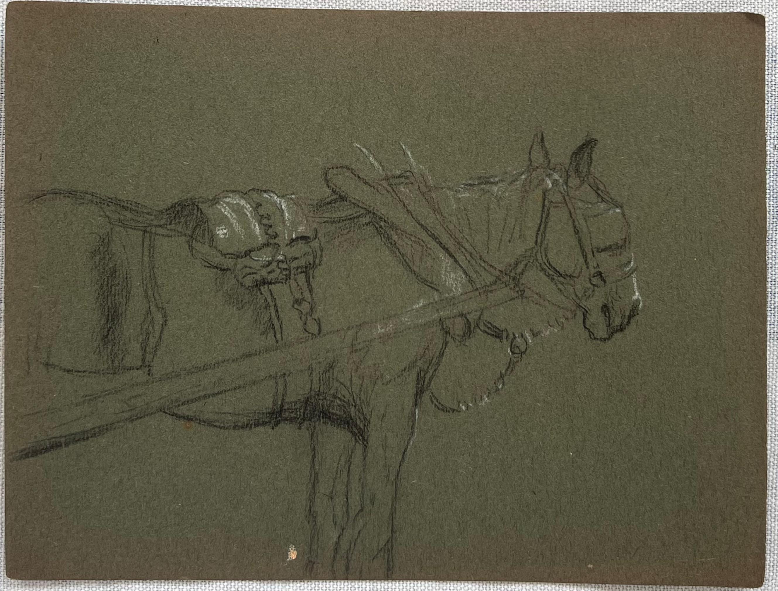 Esbozo a lápiz de tiza británico de un caballo listo para montar - Painting de John Rabone Harvey