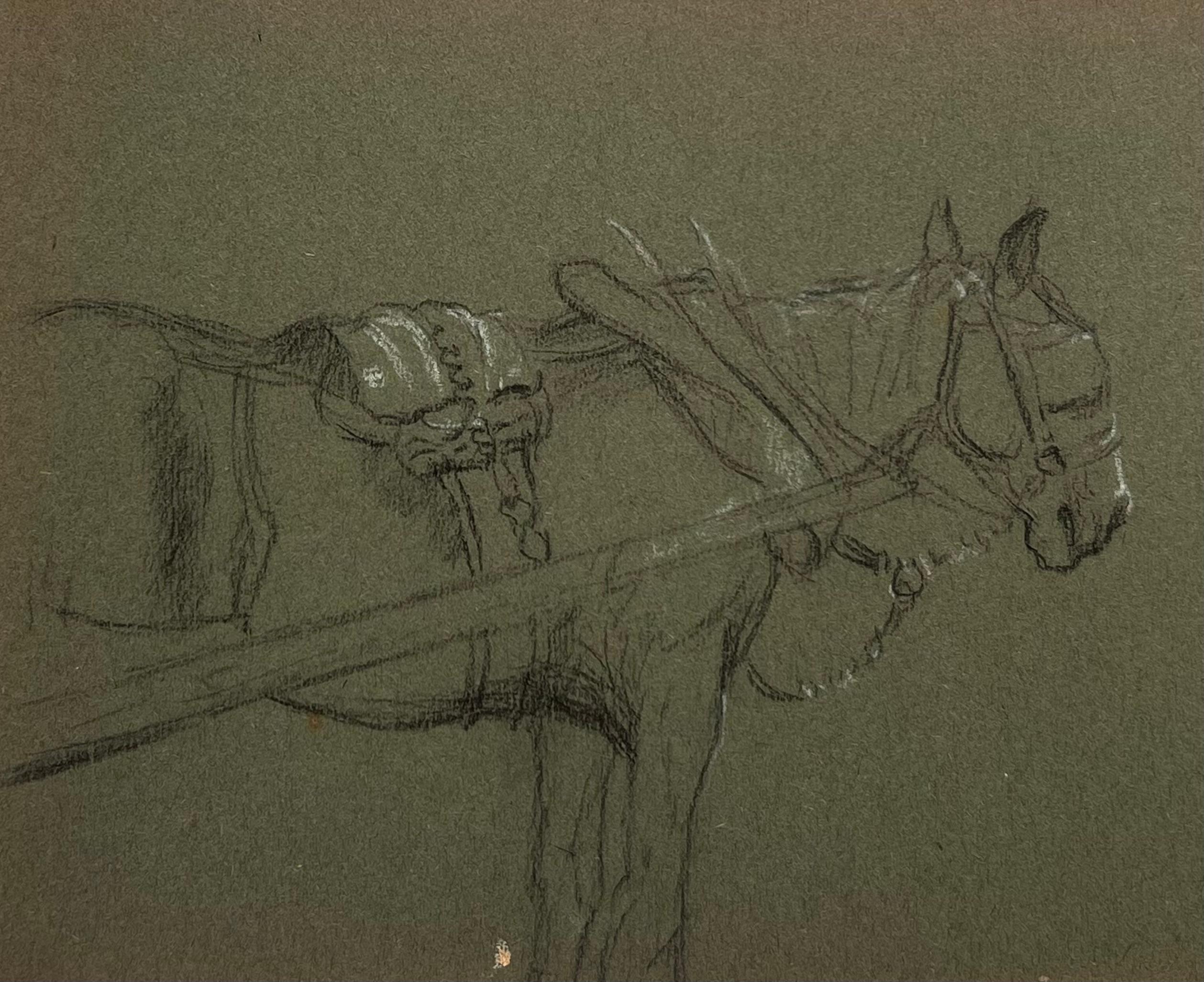 Esbozo a lápiz de tiza británico de un caballo listo para montar - Animal Painting Negro de John Rabone Harvey