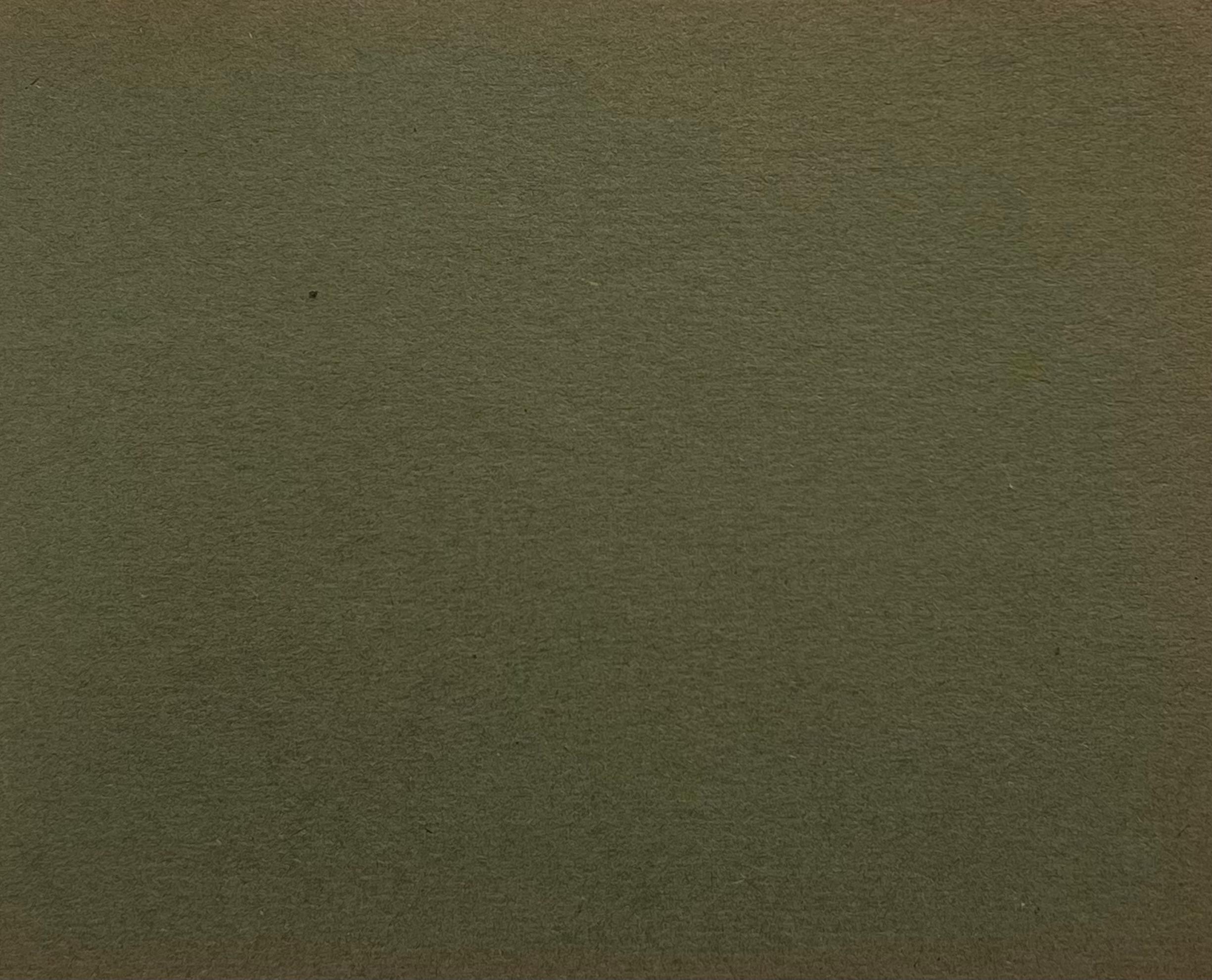 John Rabone Harvey ( 1966 - 1922)
graphique et craie papier d'artiste vert foncé , non encadré
papier d'artiste : 5.5 x 7 pouces
Collectional : collection privée
Condit : très bon état

Harvey est un artiste britannique actif de la fin du XIXe