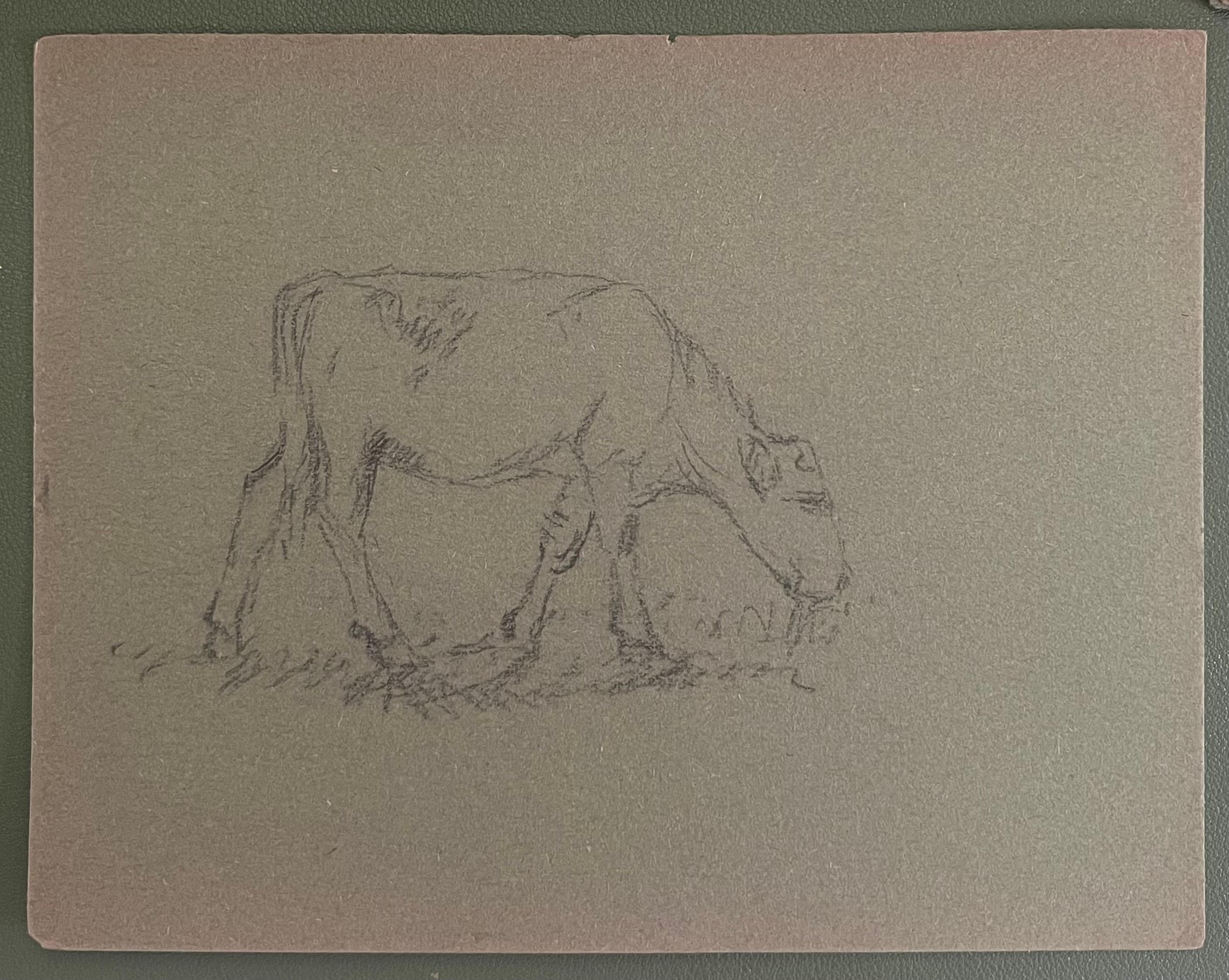 British Chalk Pencil Sketch of a Sheep Munching The Grass - Art by John Rabone Harvey