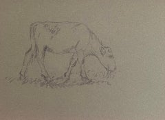 Esquisse au crayon de couleur d'un mouton broutant de l'herbe