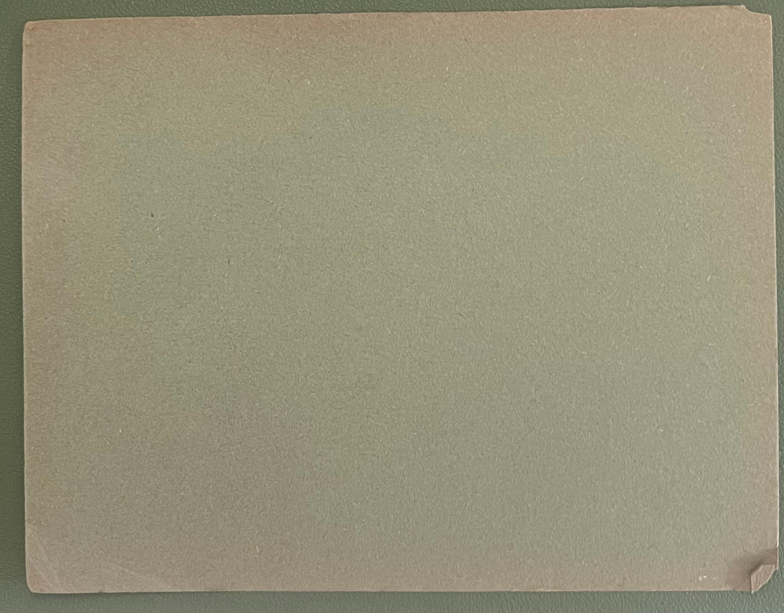 Britische Kreide Bleistiftskizze eines jungen Kalbs Gesicht mit detaillierten rosa Features (Realismus), Painting, von John Rabone Harvey