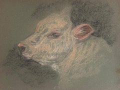 British Chalk Pencil Sketch of a Young Calf's Face with Detailed Pink Features