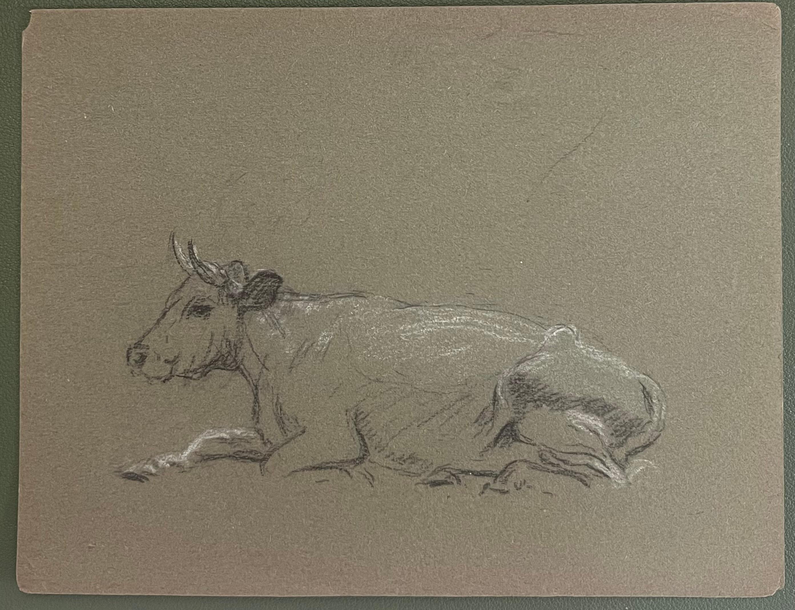 British Chalk Pencil Sketch of Cow Resting On The Ground - Painting by John Rabone Harvey