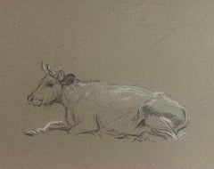 Antique British Chalk Pencil Sketch of Cow Resting On The Ground