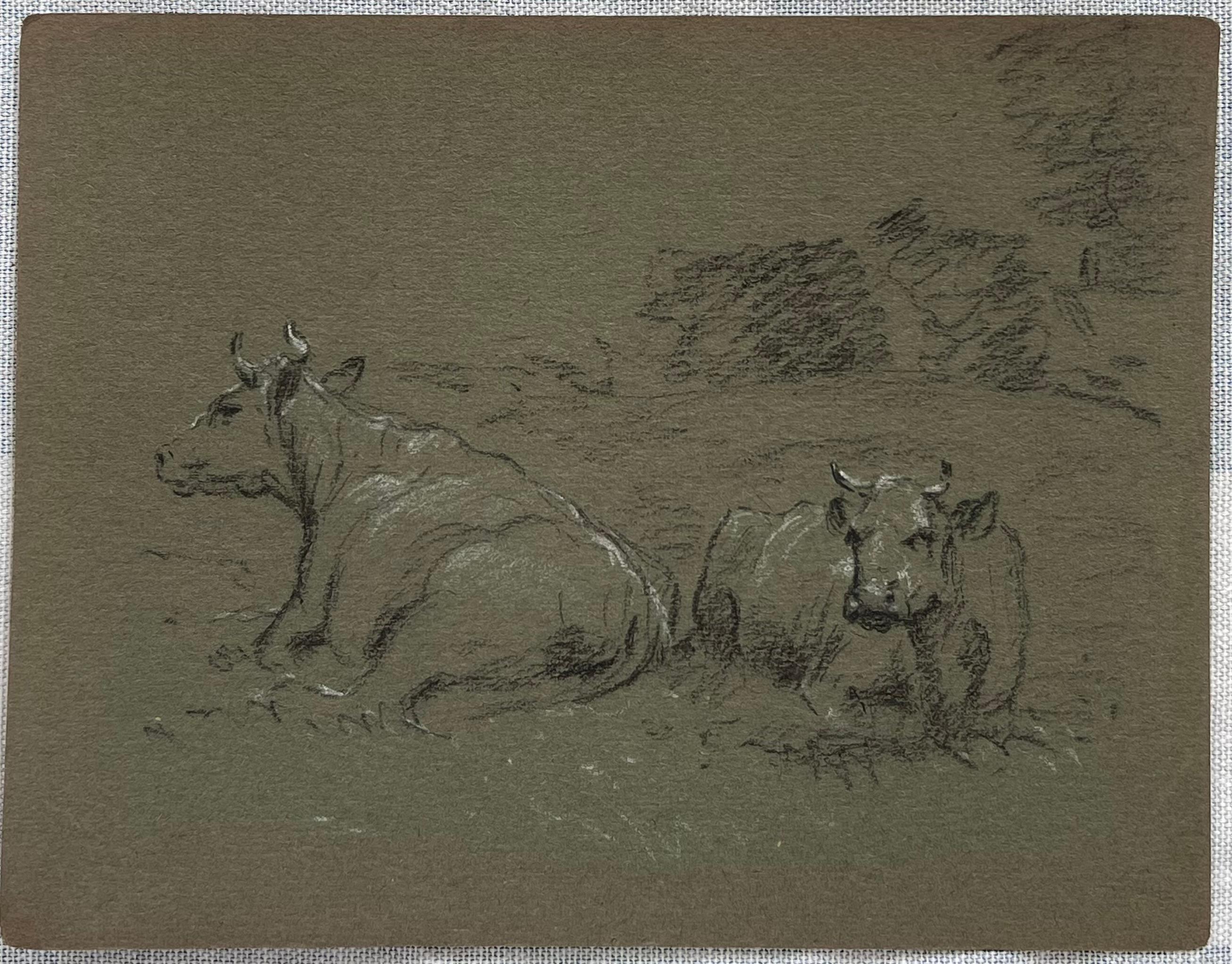 British Chalk Pencil Sketch of Cows Resting In The Grass Meadows - Painting by John Rabone Harvey