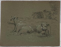 British Chalk Pencil Sketch of Cows Resting In The Grass Meadows