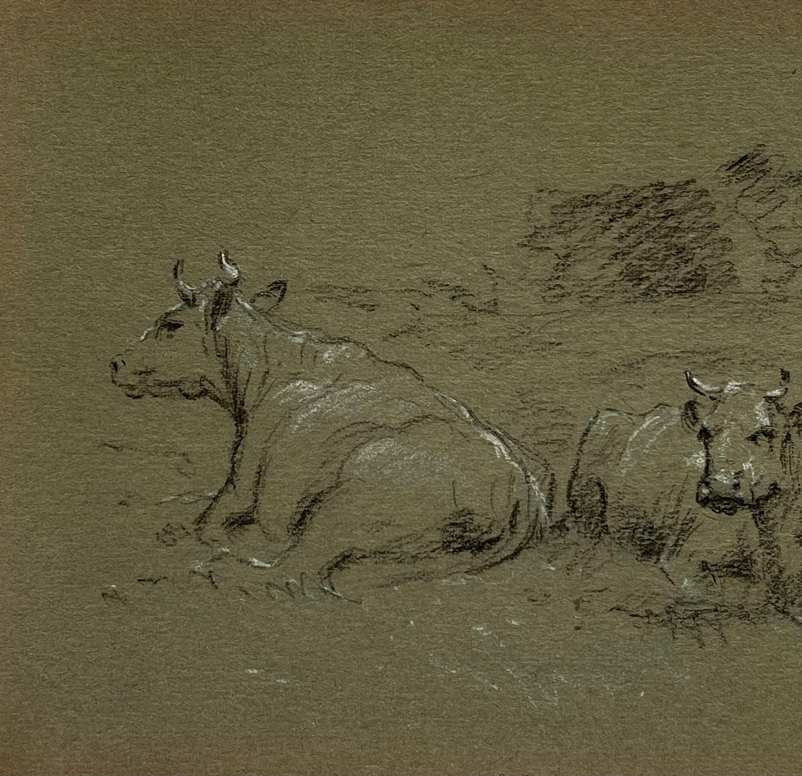 British Chalk Pencil Sketch of Cows Resting In The Grass Meadows - Realist Painting by John Rabone Harvey