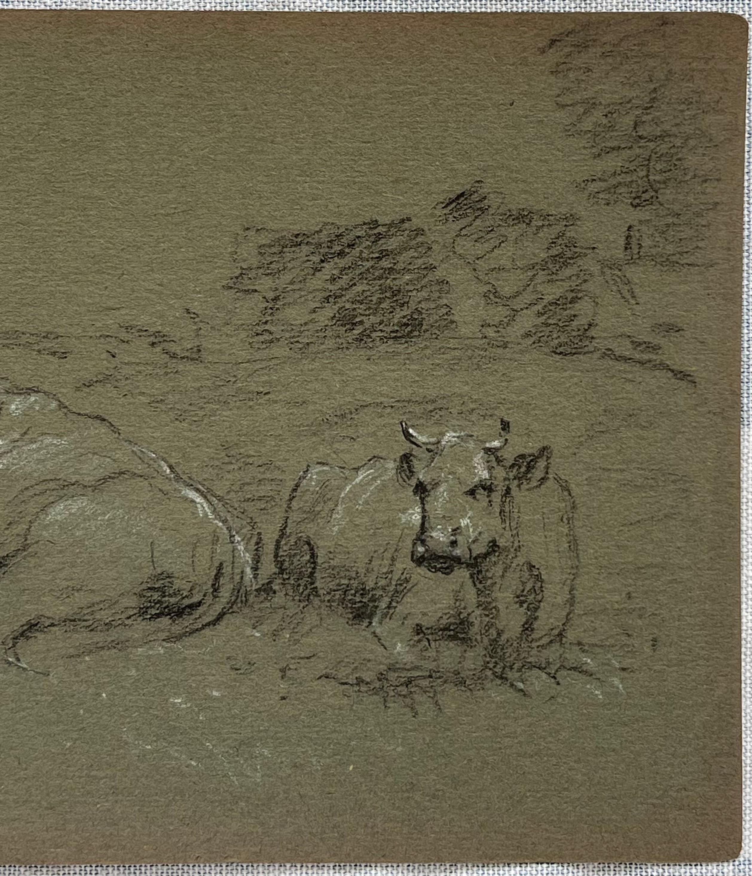 British Chalk Pencil Sketch of Cows Resting In The Grass Meadows - Gray Animal Painting by John Rabone Harvey
