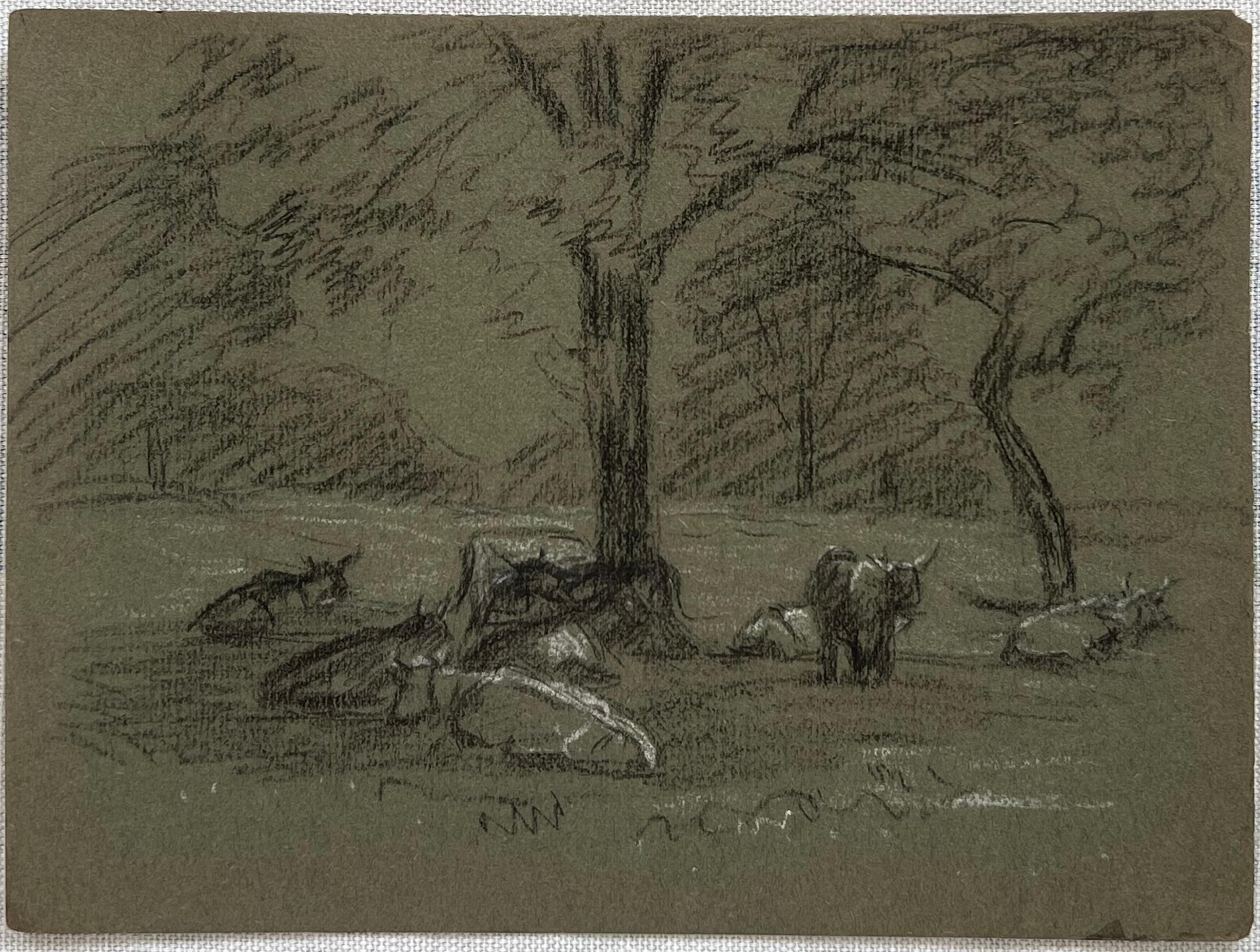 British Chalk Pencil Sketch of Cows Resting In the Meadow - Painting by John Rabone Harvey