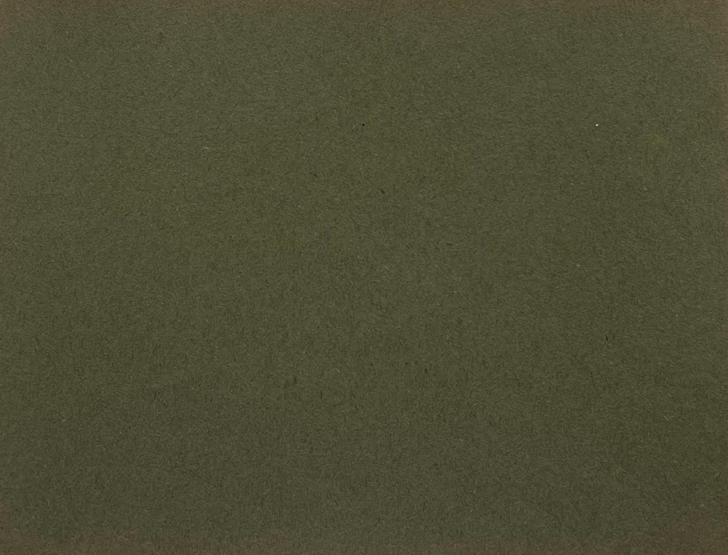 John Rabone Harvey ( 1966 - 1922)
graphic and chalk deep green artist paper , unframed
artist paper : 5.5 x 7 inches
Provenance: private collection
Condition: very good condition

Harvey was a British artist active from the late 19th century until