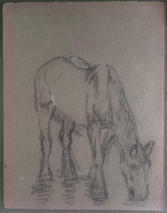 British Chalk Pencil Sketch of Horse Drinking at The Water Hole