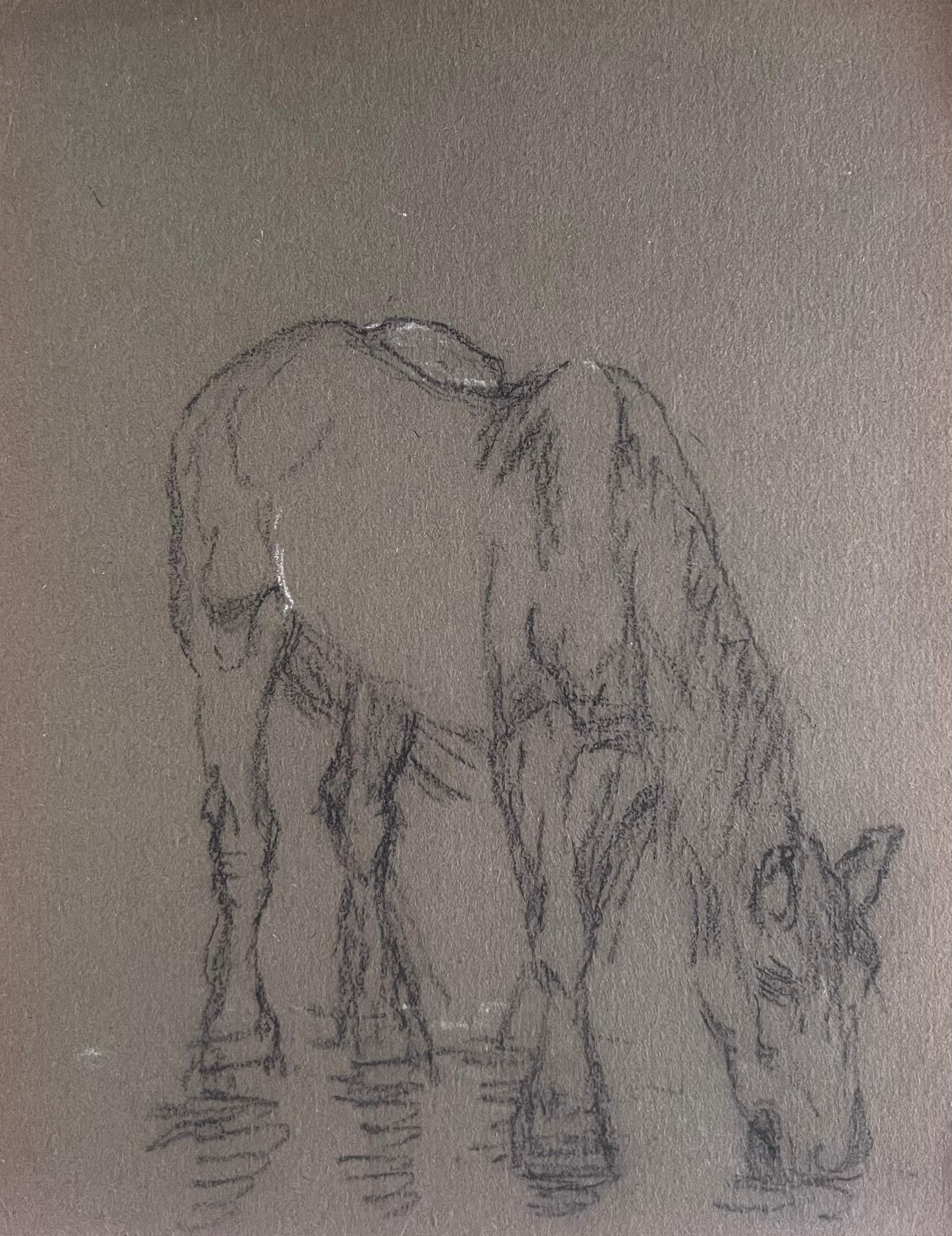 British Chalk Pencil Sketch of Horse Drinking at The Water Hole
