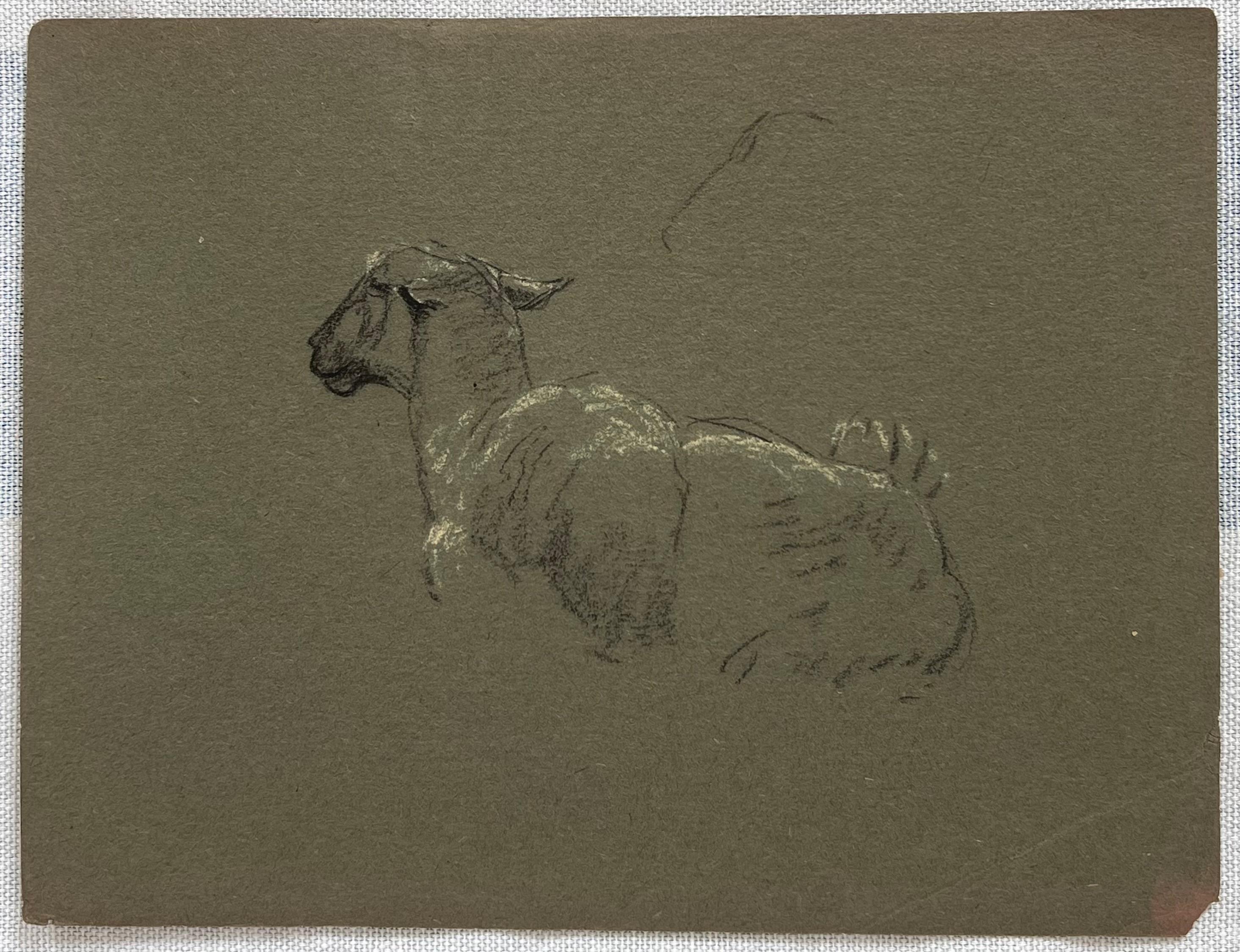 Esquisse à la craie britannique d'un mouton couché aux oreilles piquées - Painting de John Rabone Harvey