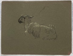 British Chalk Pencil Sketch of Sheep Lying Down With Pricked Ears
