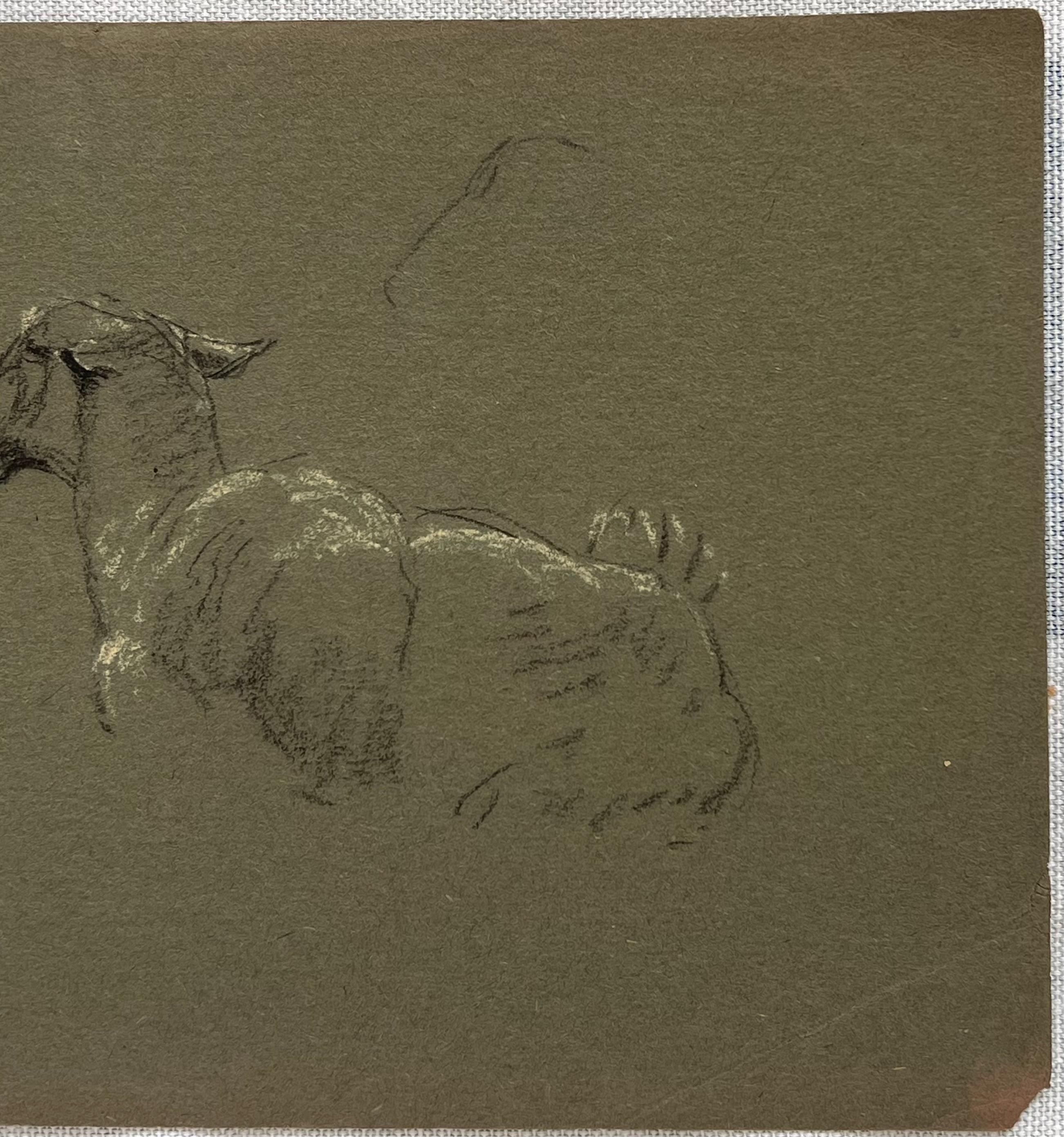 Esquisse à la craie britannique d'un mouton couché aux oreilles piquées - Réalisme Painting par John Rabone Harvey