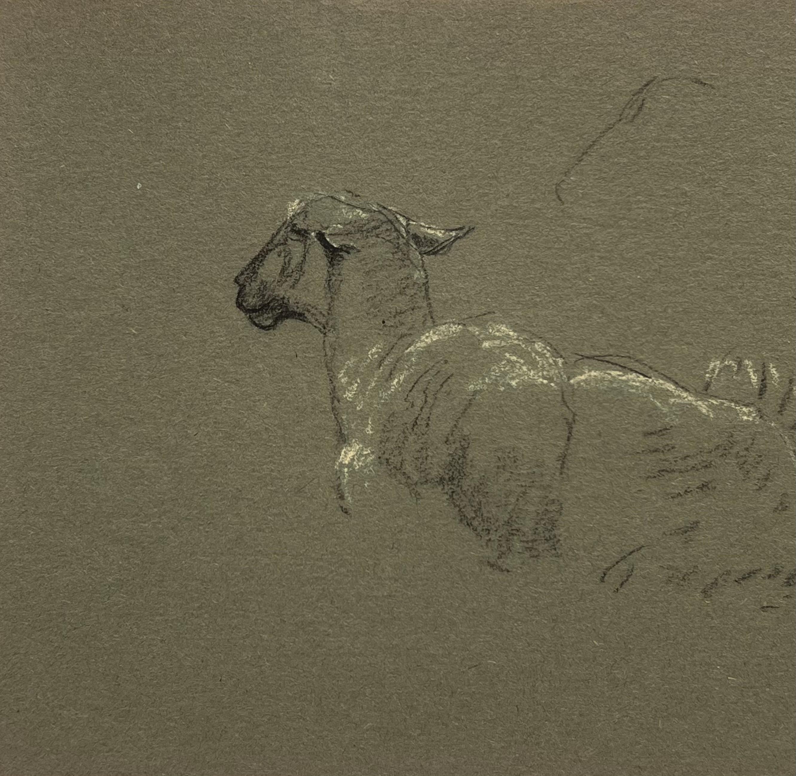 Esquisse à la craie britannique d'un mouton couché aux oreilles piquées - Marron Figurative Painting par John Rabone Harvey