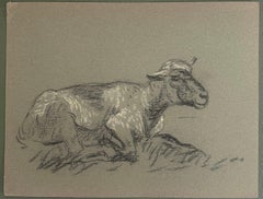 British Chalk Pencil Sketch of Small Sheep Laying in the Grass