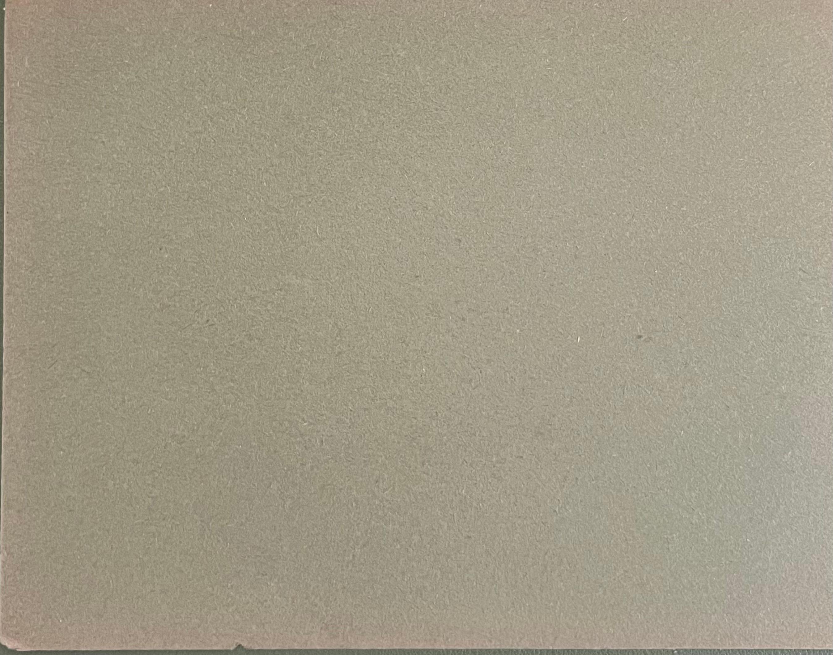 British Chalk Pencil Sketch of Small Sheep Laying in the Grass - Realist Art by John Rabone Harvey