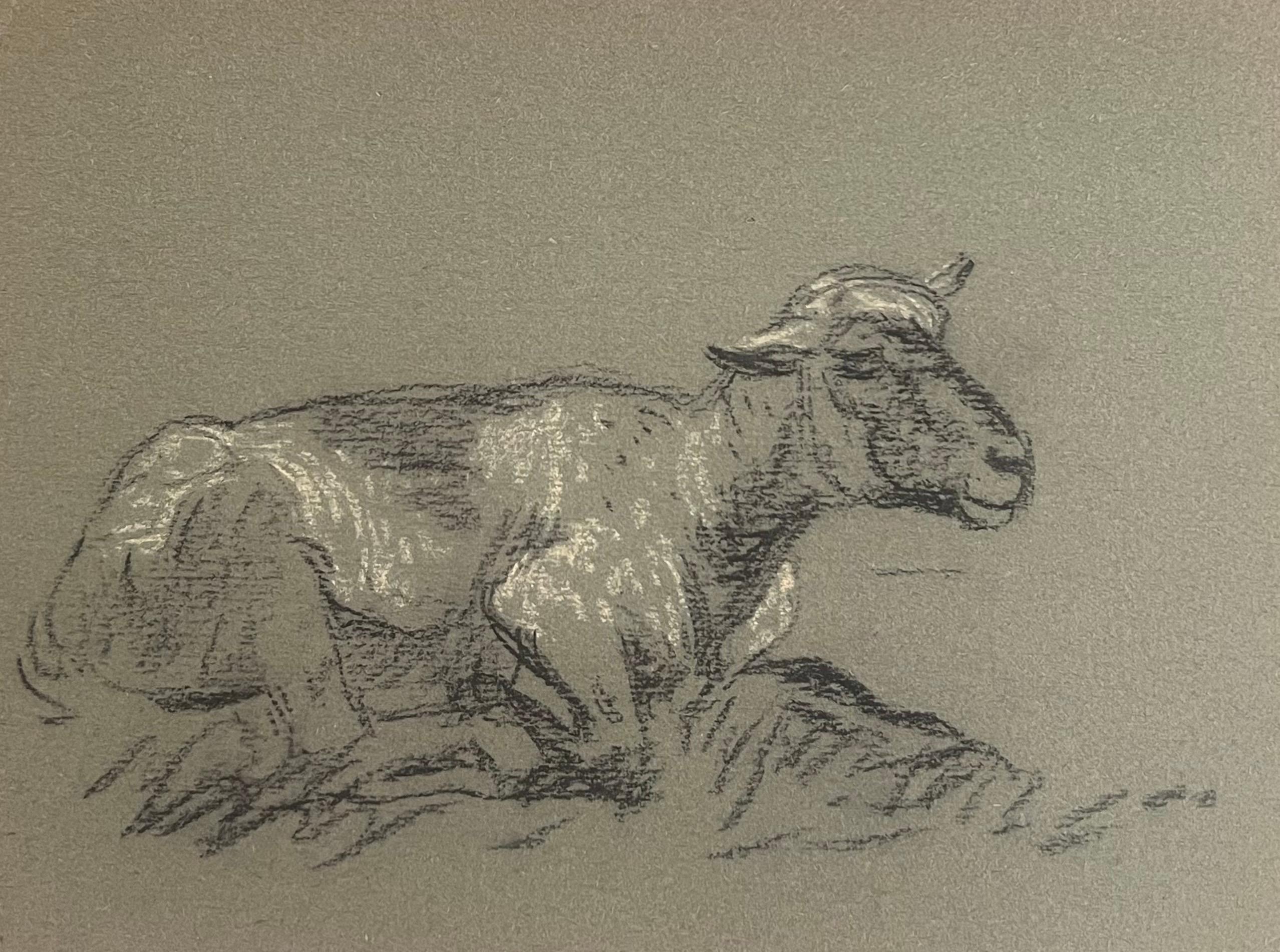 British Chalk Pencil Sketch of Small Sheep Laying in the Grass