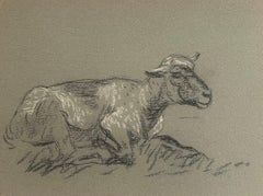 Antique British Chalk Pencil Sketch of Small Sheep Laying in the Grass