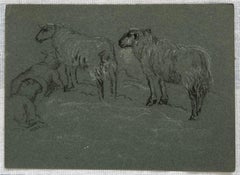British Chalk Pencil Sketch Sheep Roaming in and Munching In The Field