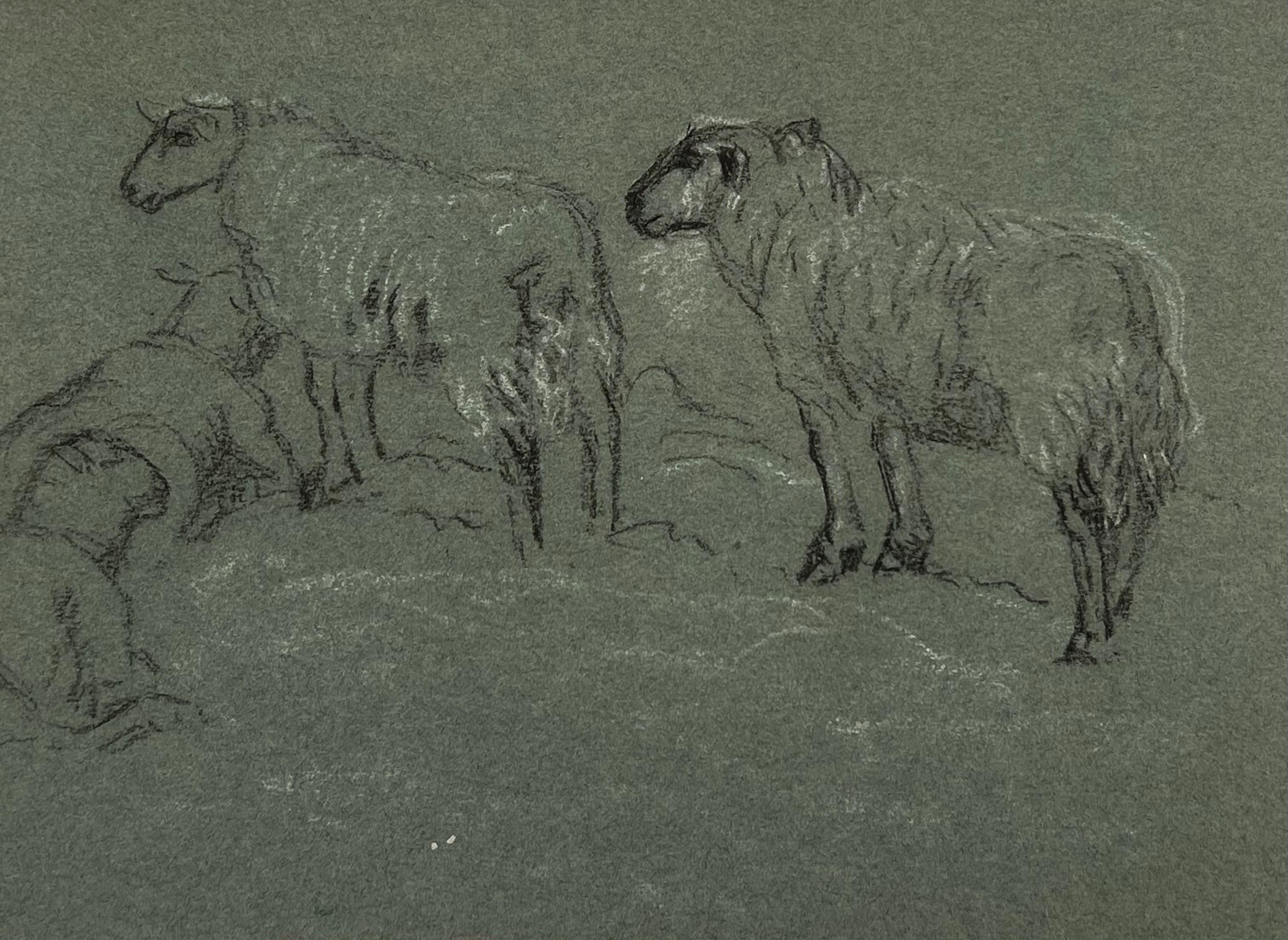 John Rabone Harvey Figurative Painting - British Chalk Pencil Sketch Sheep Roaming in and Munching In The Field