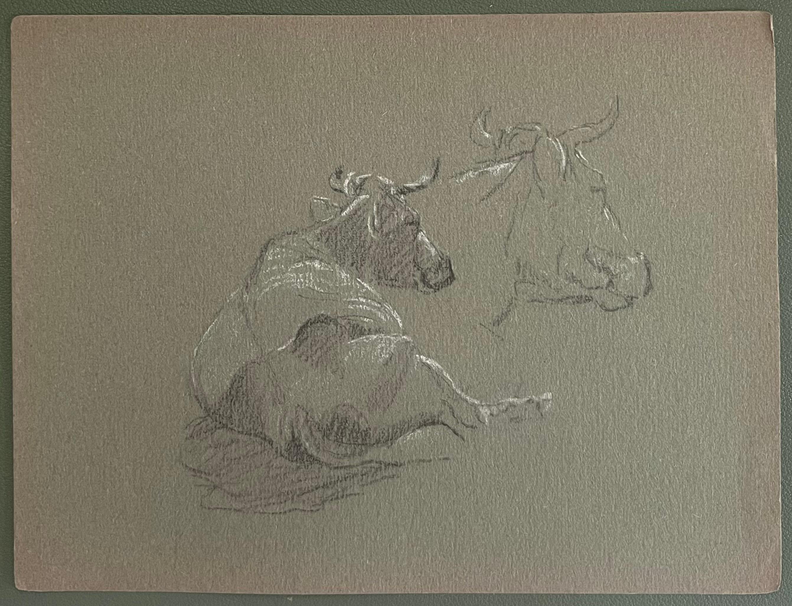 Esquisse à la craie d'un taureau couché et d'une esquisse de visage - Painting de John Rabone Harvey