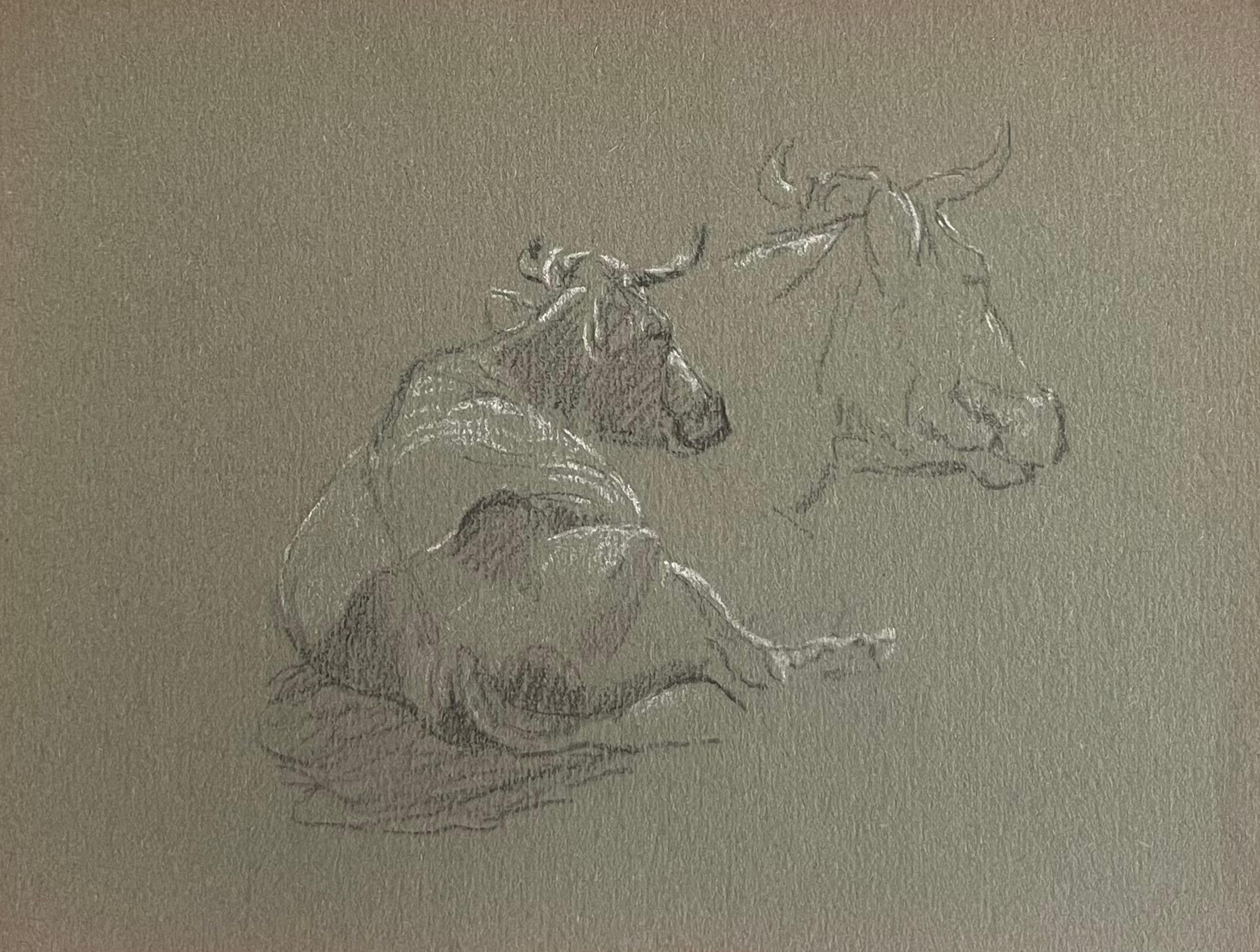 Animal Painting John Rabone Harvey - Esquisse à la craie d'un taureau couché et d'une esquisse de visage