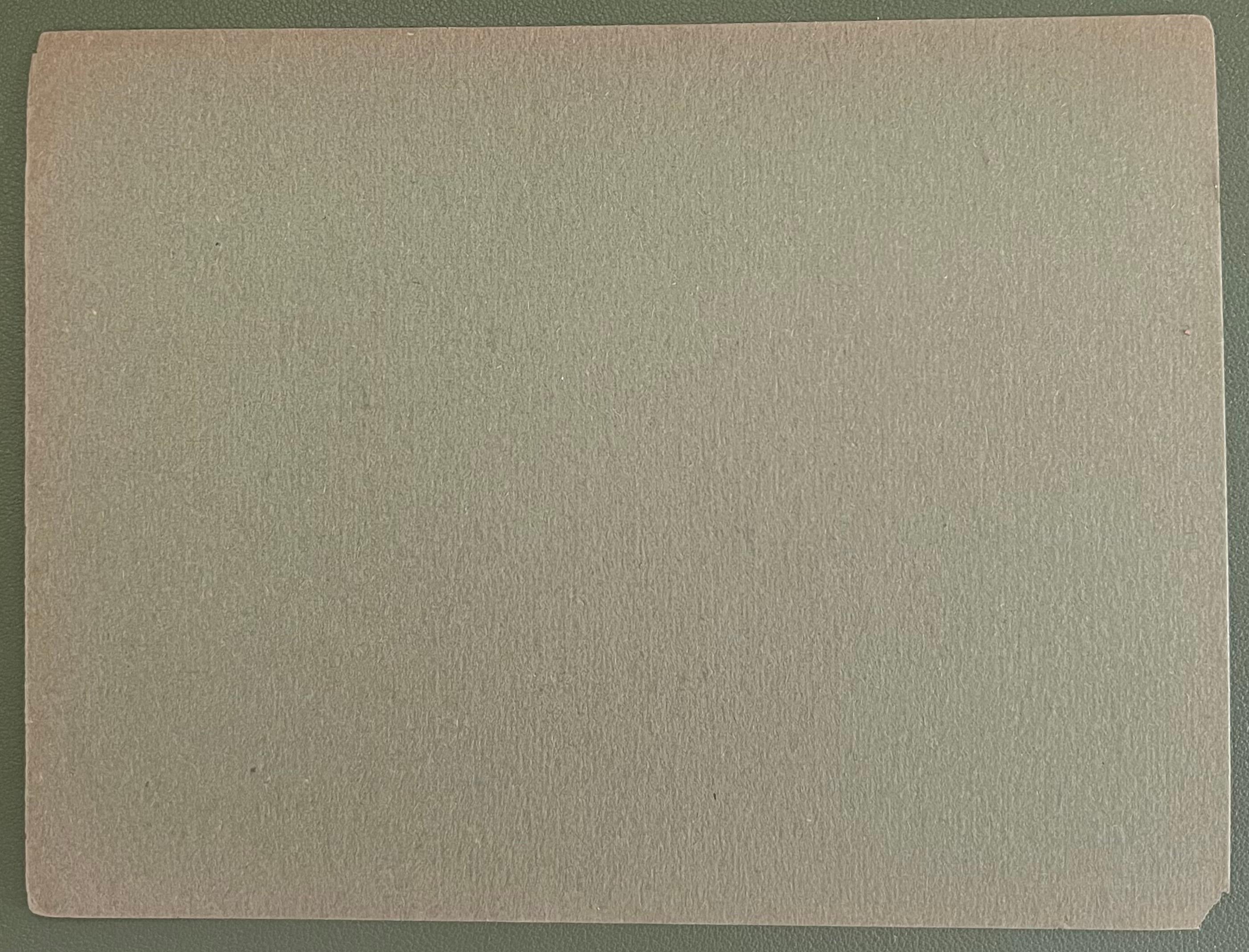 Britische Bleistiftskizzen eines liegenden Stiers mit weißen Merkmalen (Realismus), Art, von John Rabone Harvey