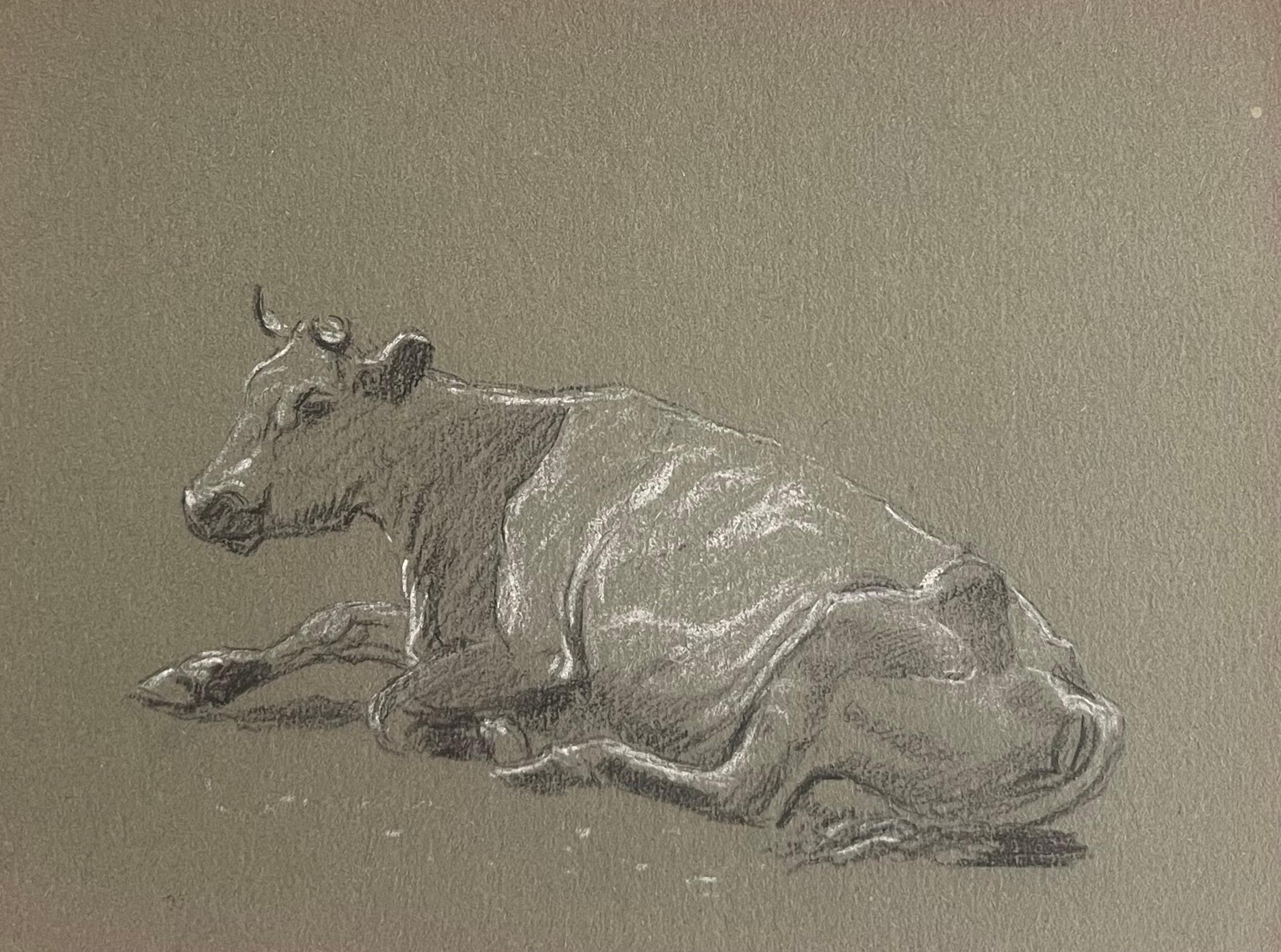 John Rabone Harvey Animal Art – Britische Bleistiftskizzen eines liegenden Stiers mit weißen Merkmalen
