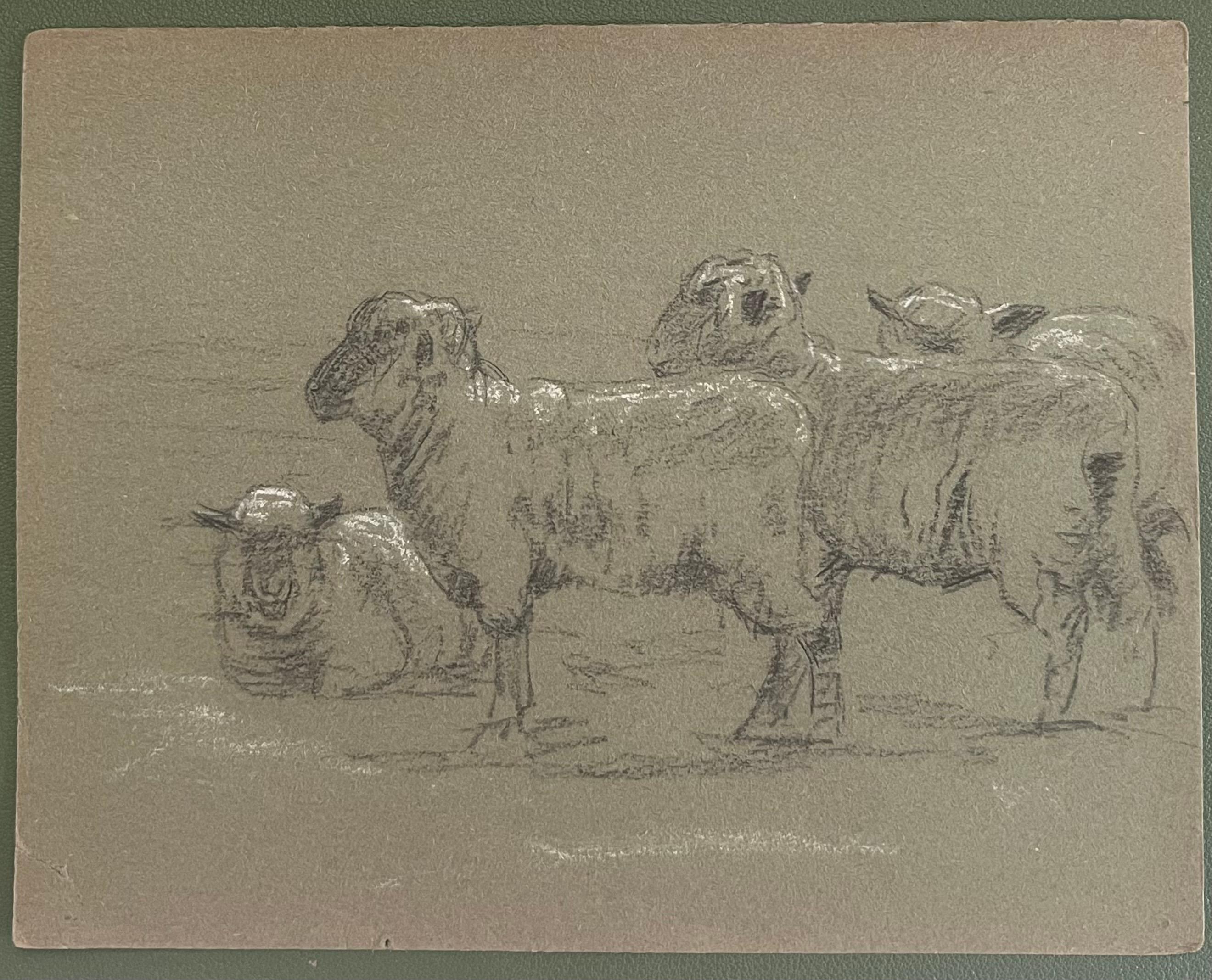 British Chalk Pencil Sketches Of A Flock Of Sheep Standing and Lying Down - Painting by John Rabone Harvey