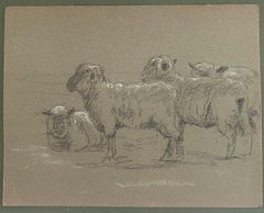 Britische Bleistiftskizzen einer Schafherde im Stehen und Liegen