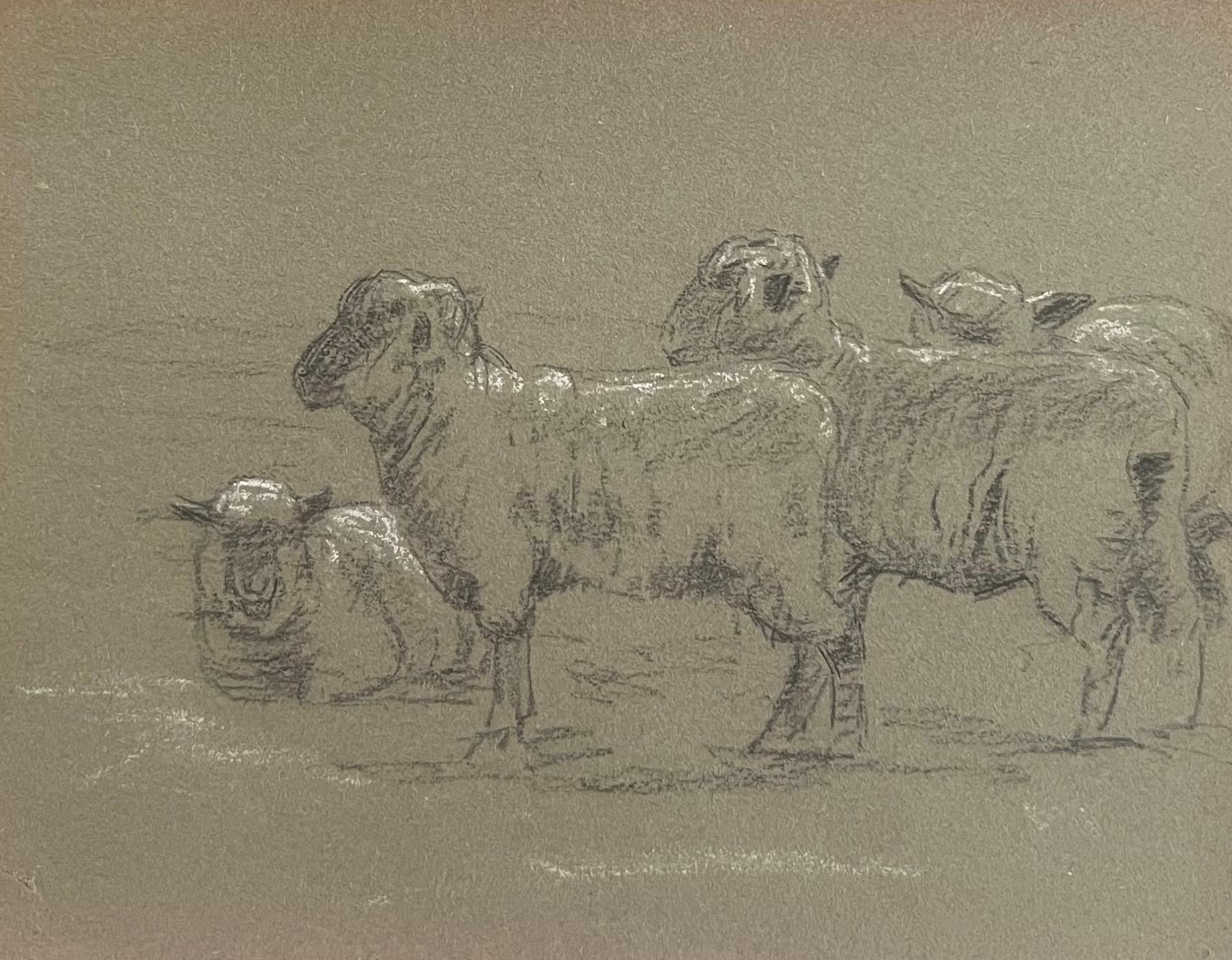 John Rabone Harvey Animal Painting - British Chalk Pencil Sketches Of A Flock Of Sheep Standing and Lying Down