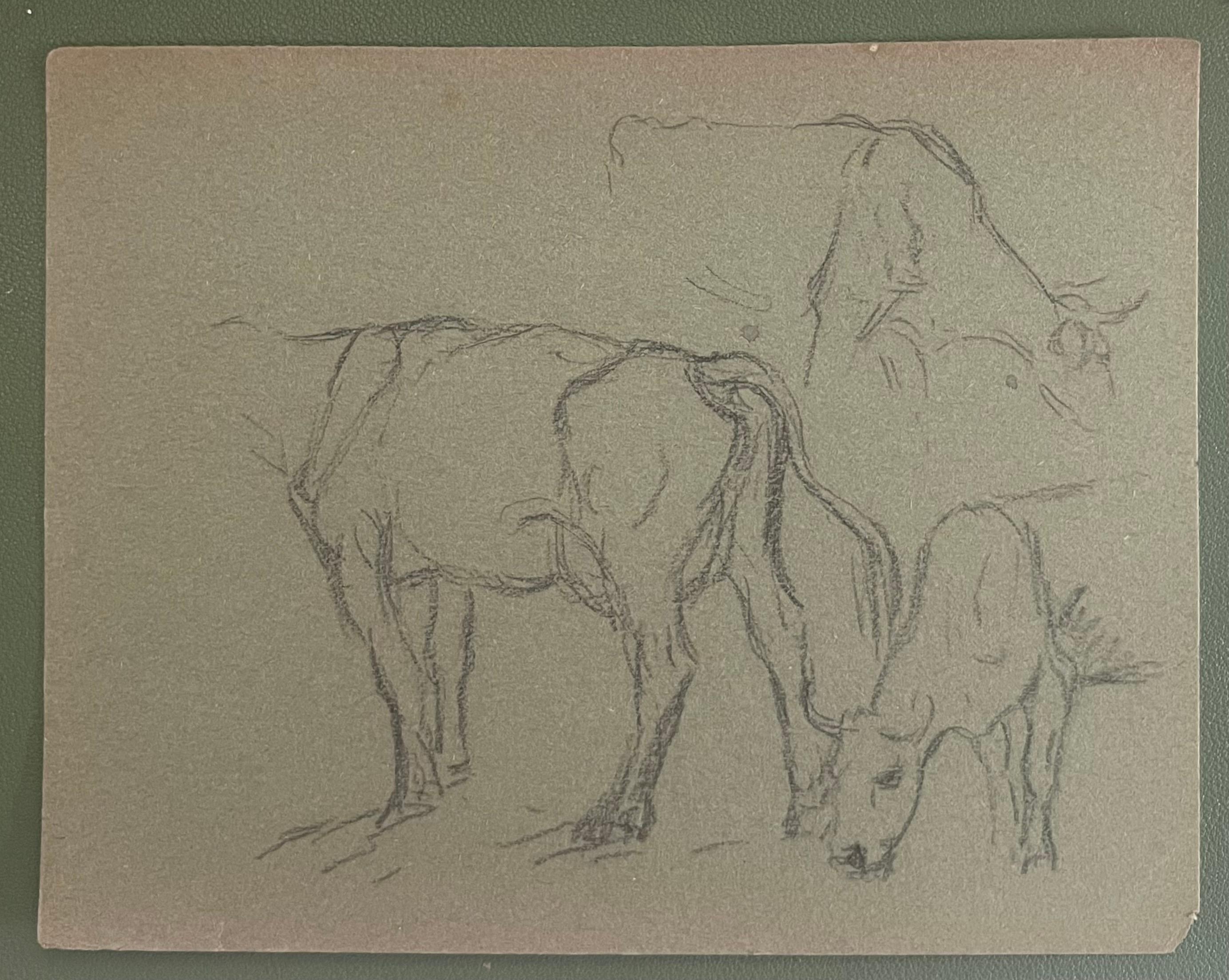 British Chalk Pencil Sketches of Cows and Calfs in Field - Painting by John Rabone Harvey