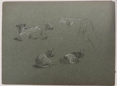 British Chalk Pencil Sketches of Different Posed Cows