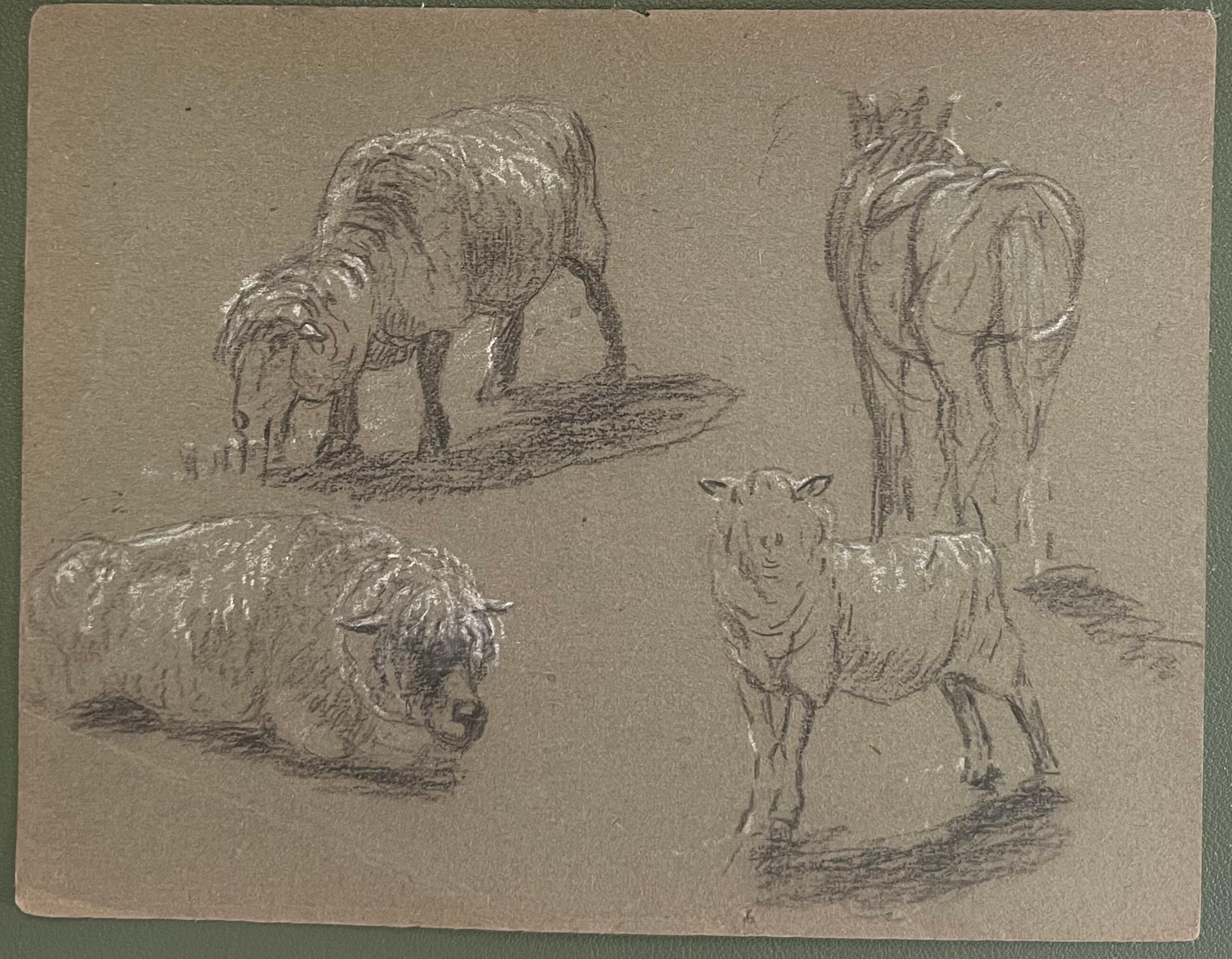 British Chalk Pencil Sketches of Four Sheep In Different Positions - Art by John Rabone Harvey