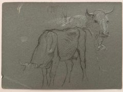 Schizzi incompiuti a matita di gesso britannica di due mucche e un toro