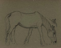 British Chalk Sketch Horse Munching on Grass On Deep Green Artist Paper