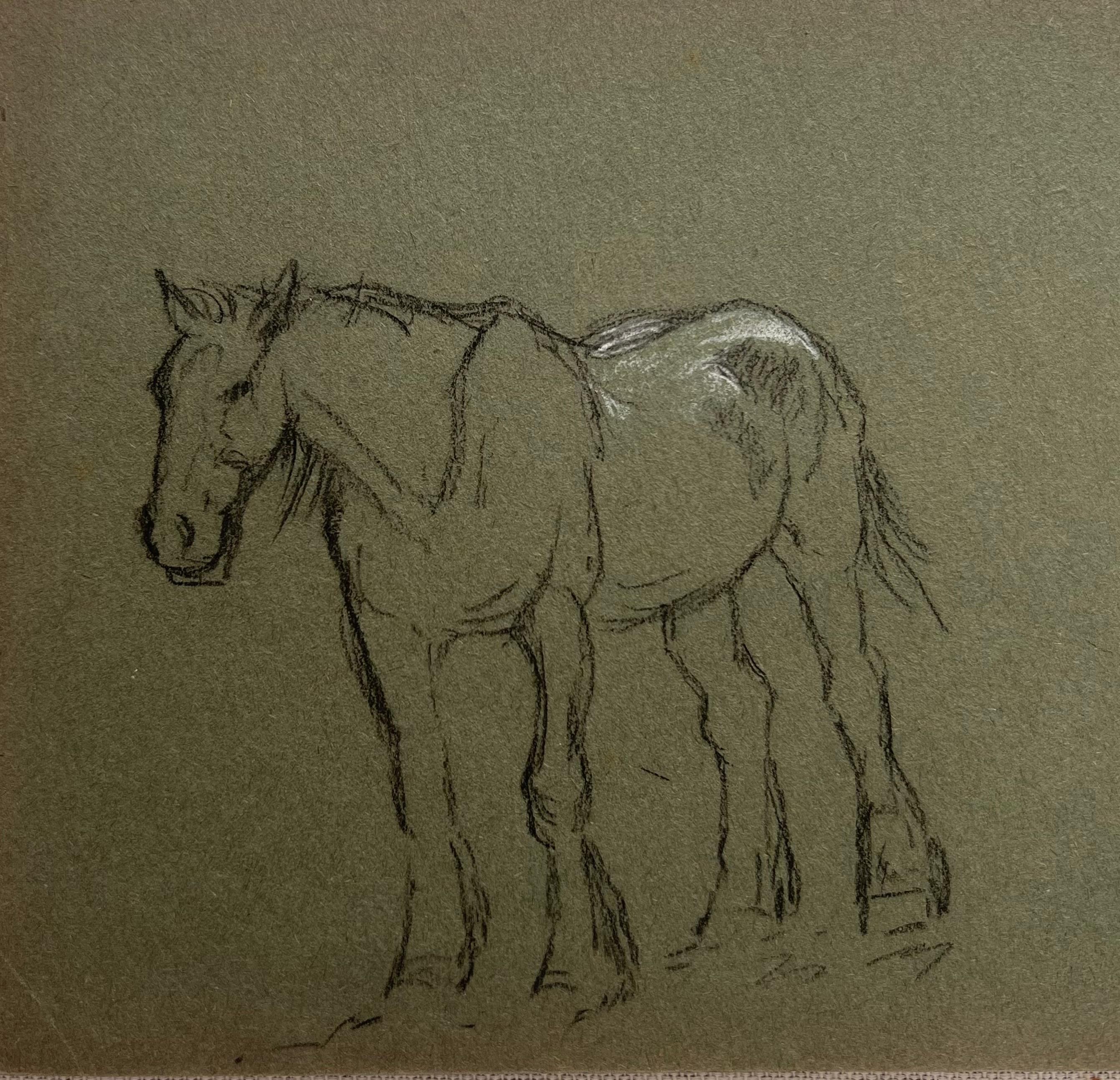 Schizzo in gesso britannico di un giovane cavallo con segni di colore bianco - Painting di John Rabone Harvey