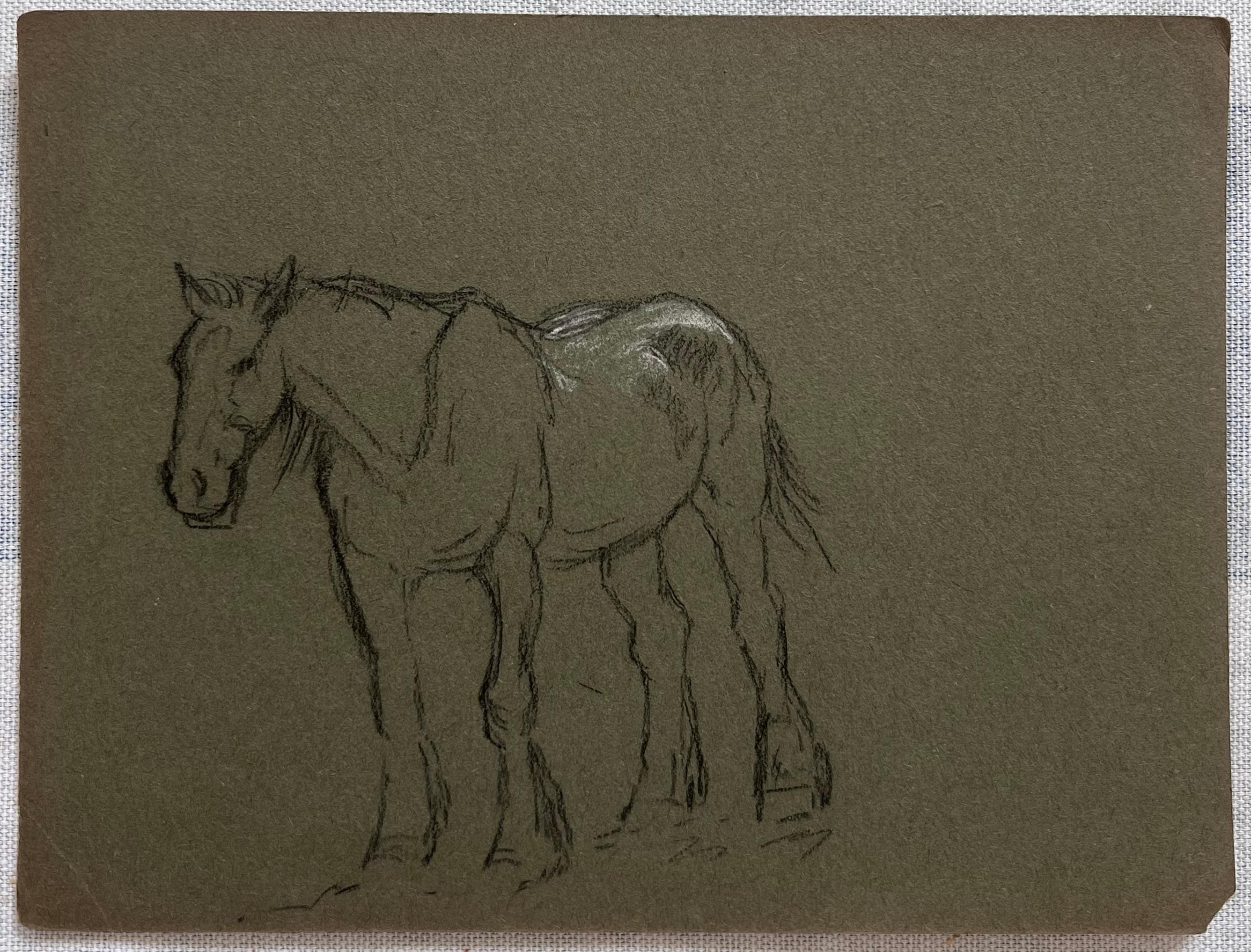 Schizzo in gesso britannico di un giovane cavallo con segni di colore bianco - Animal Painting Nero di John Rabone Harvey