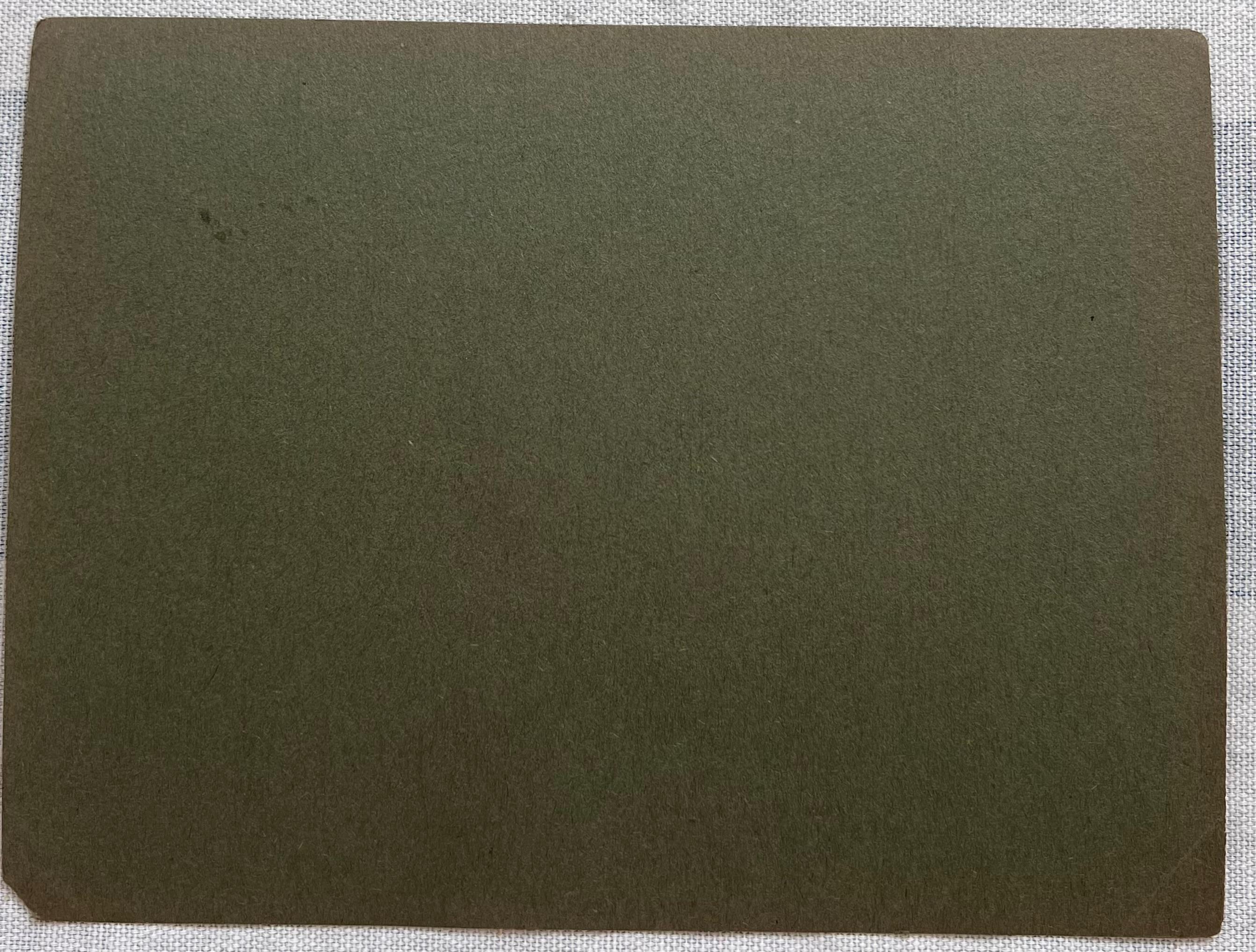 Schizzo in gesso britannico di un giovane cavallo con segni di colore bianco in vendita 1