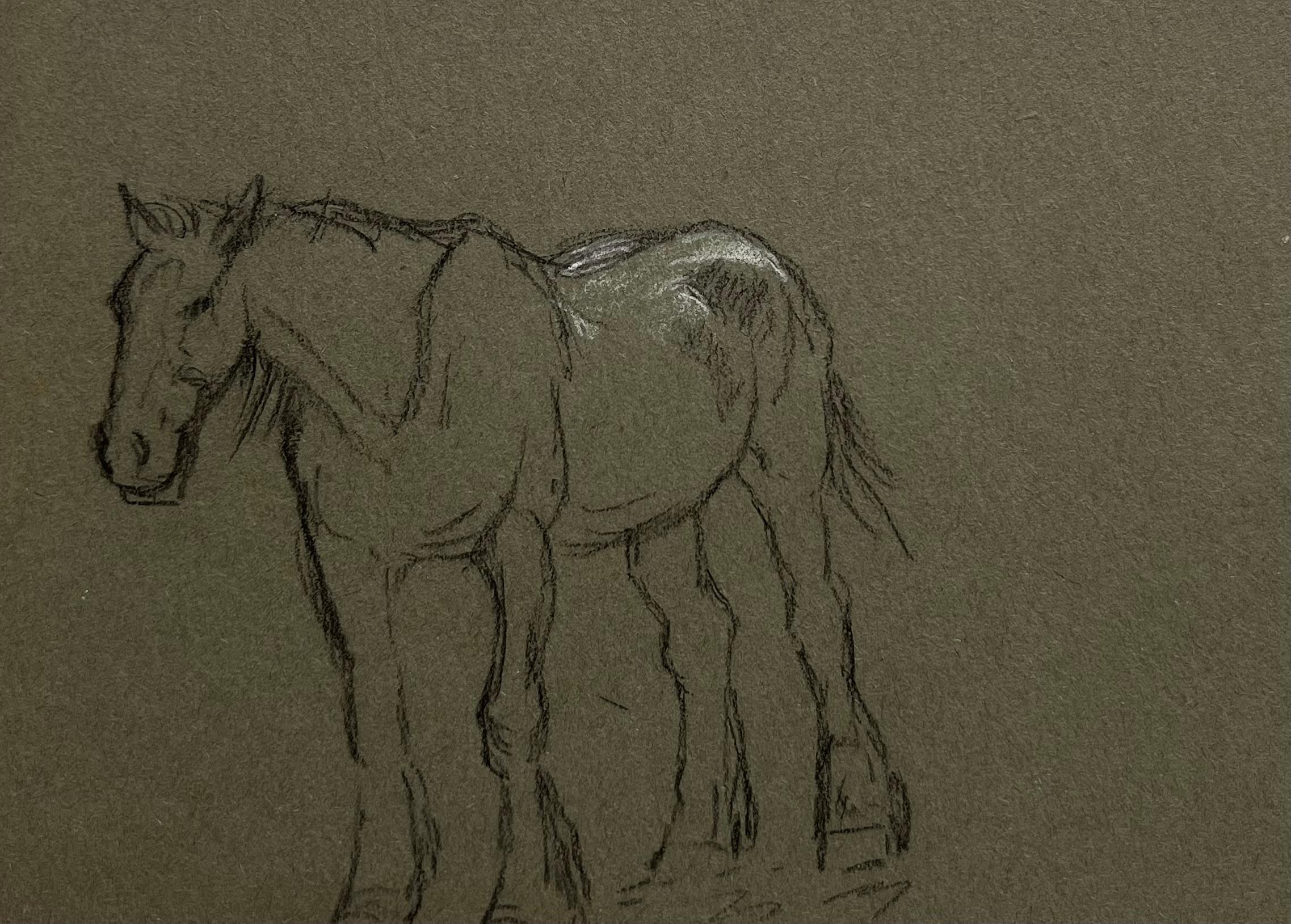 British Chalk Sketch of A Young Horse with White Markings