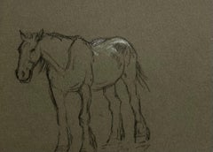 British Chalk Sketch of A Young Horse with White Markings