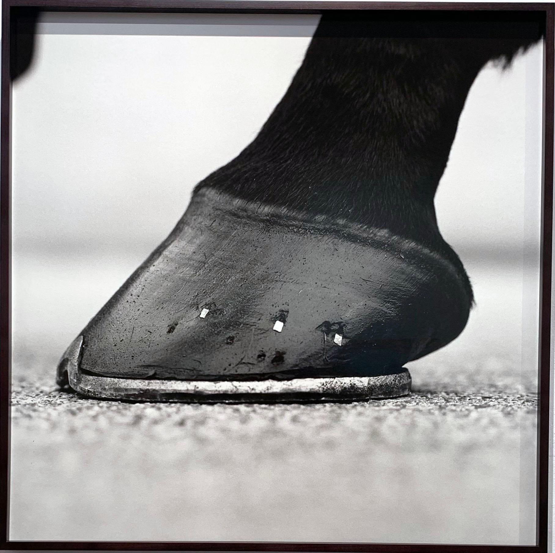Cape Cross, ‘Hoof’, 2001 by John Reardon
Edition of 2/7
Silver Gelatin Print, Mounted on Aluminium, Custom framed, UV protective Museum AR Glass

This piece is part of (after) Whistlejacket - Contemporary Equine Photographs exhibition at MMX Gallery