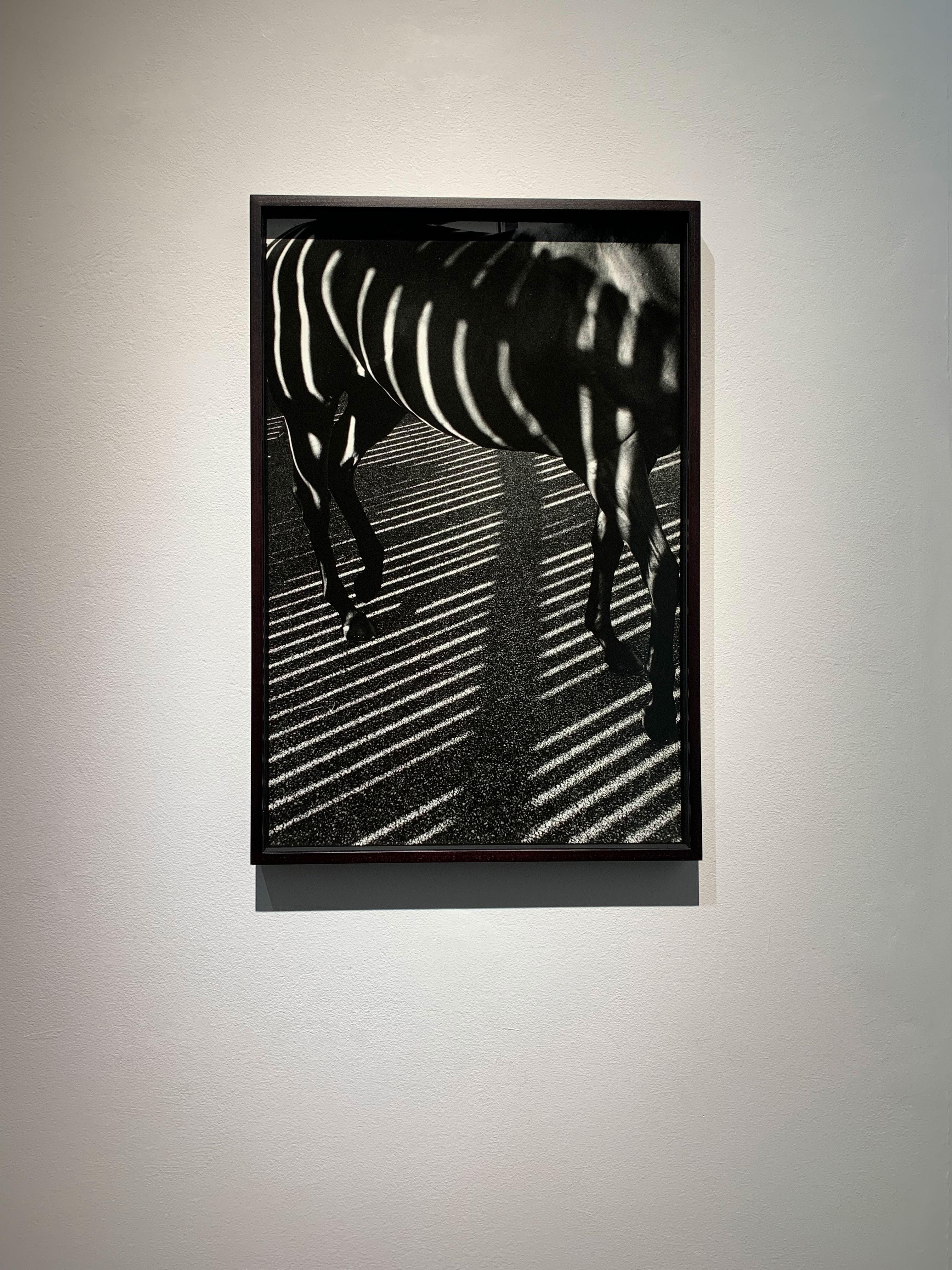 Dubawi, 'Gestreift/Schatten', Abstrakte Schwarz-Weiß-Pferdeporträtfotografie im Angebot 1